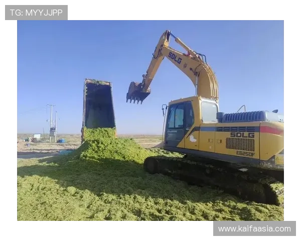 凯发国际k8一触即发,详解平台安全保障与用户权益保护措施